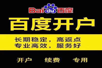 竞价广告的精准投放：看这家公司如何利用数据驱动增长